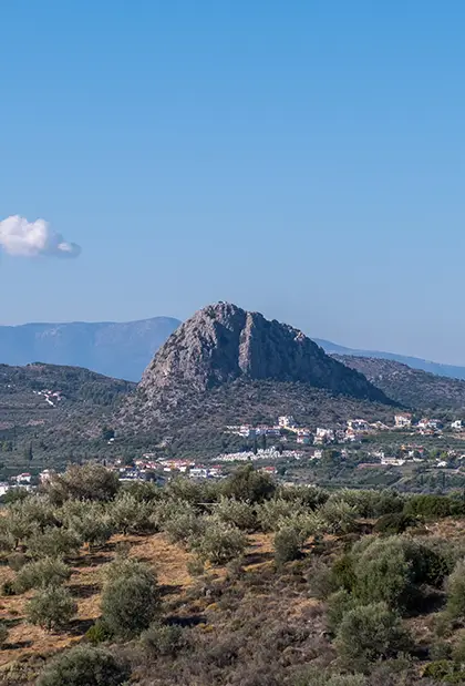 Trees, Bushes & the Mountain of Asini