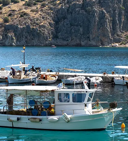 Tolo Harbour